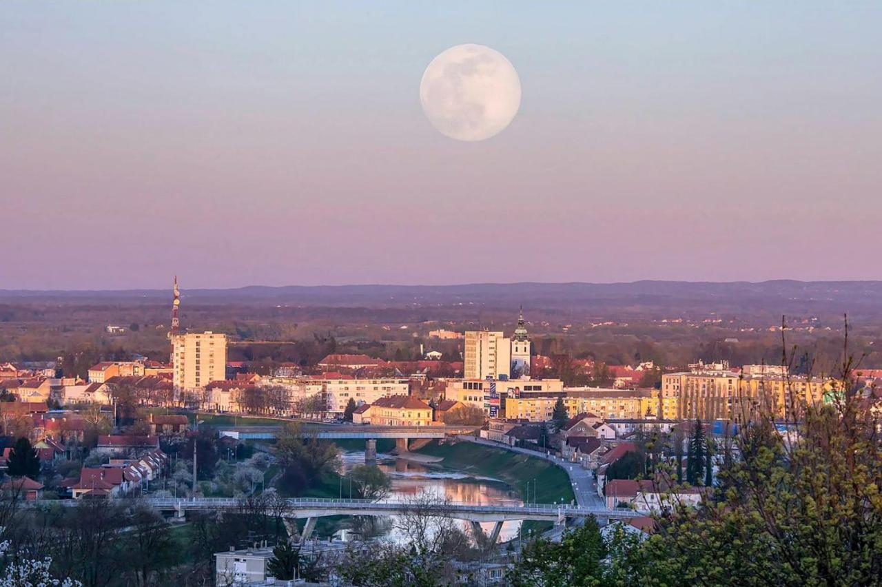Studio Apartman Four Pearls Карловаць Екстер'єр фото